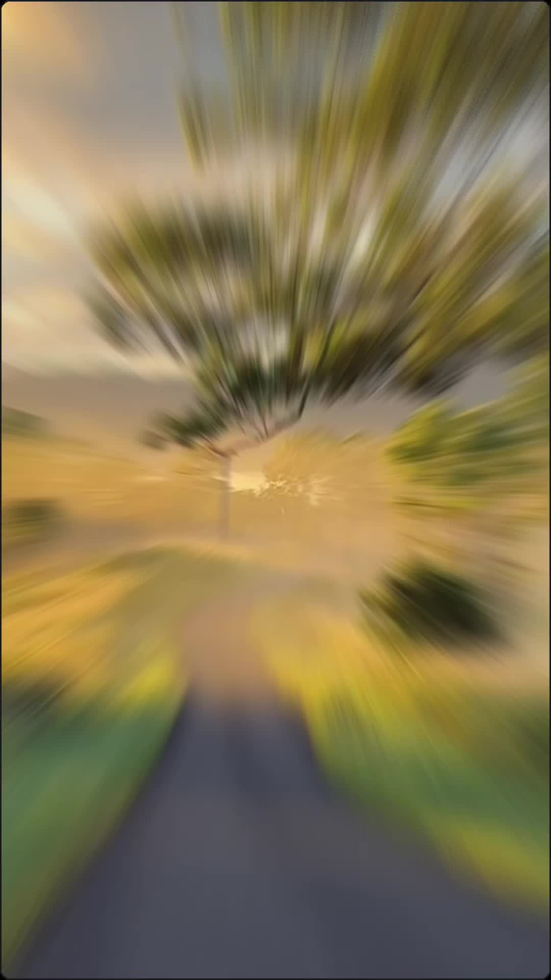 @Nature And Music