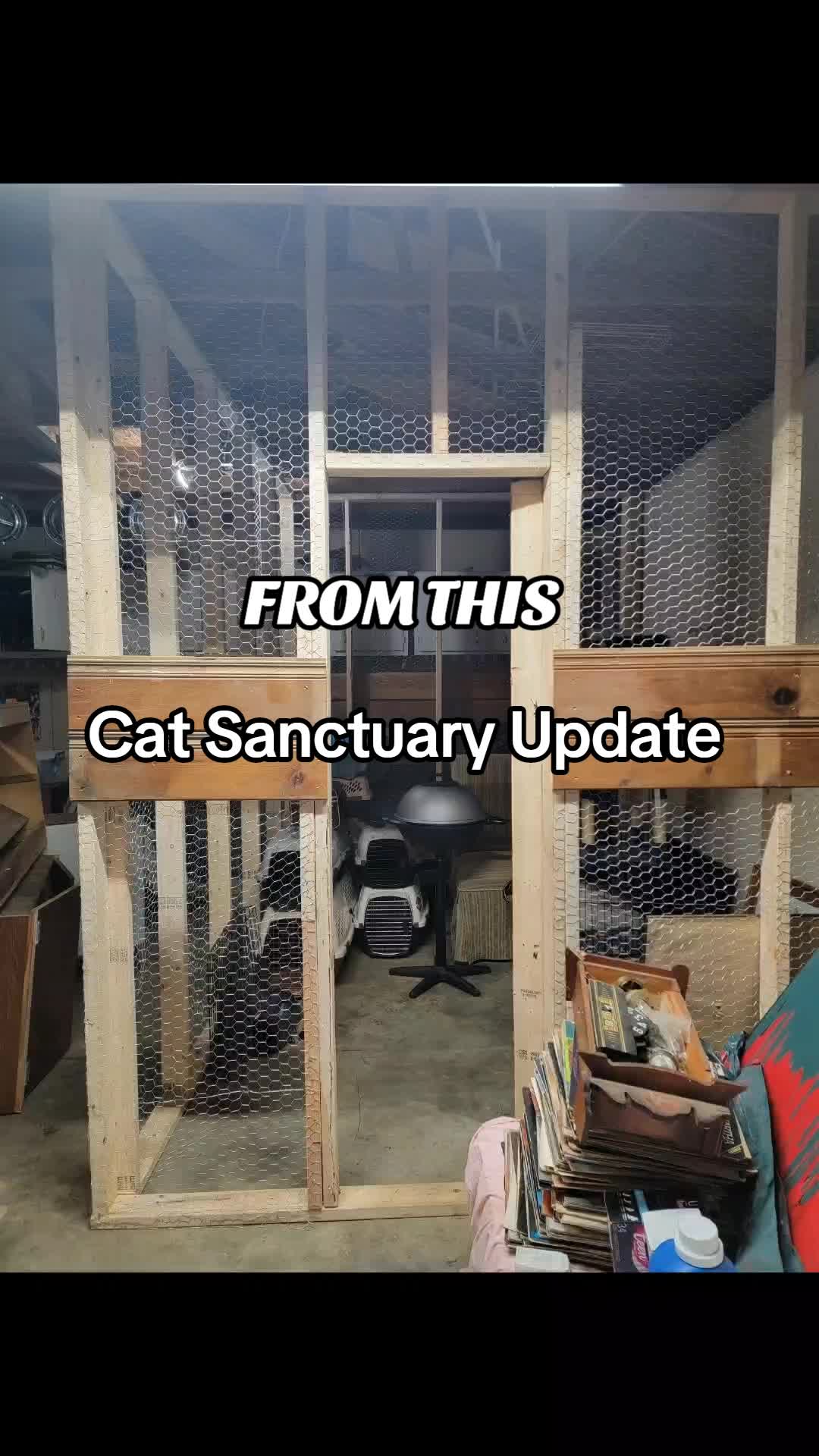 @No More Sad Kitties