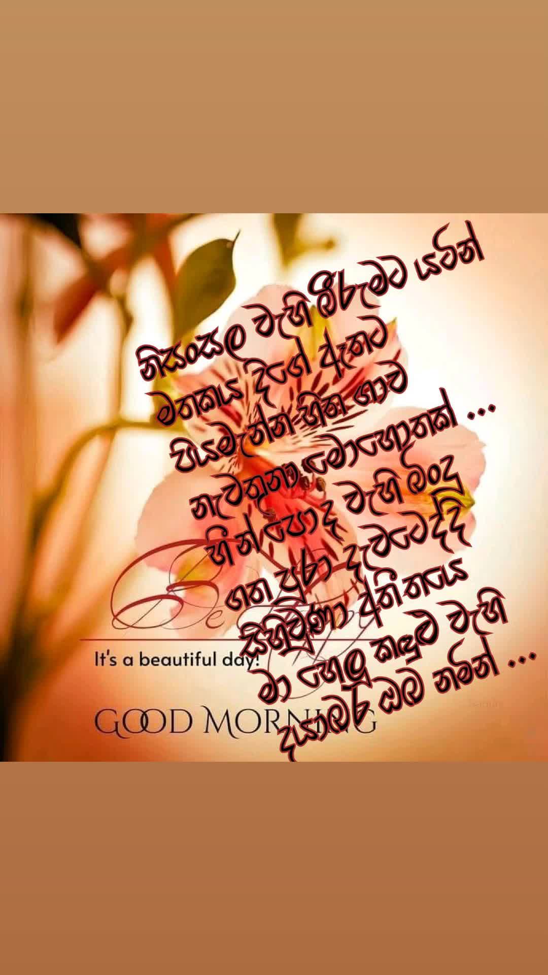 @dilruk