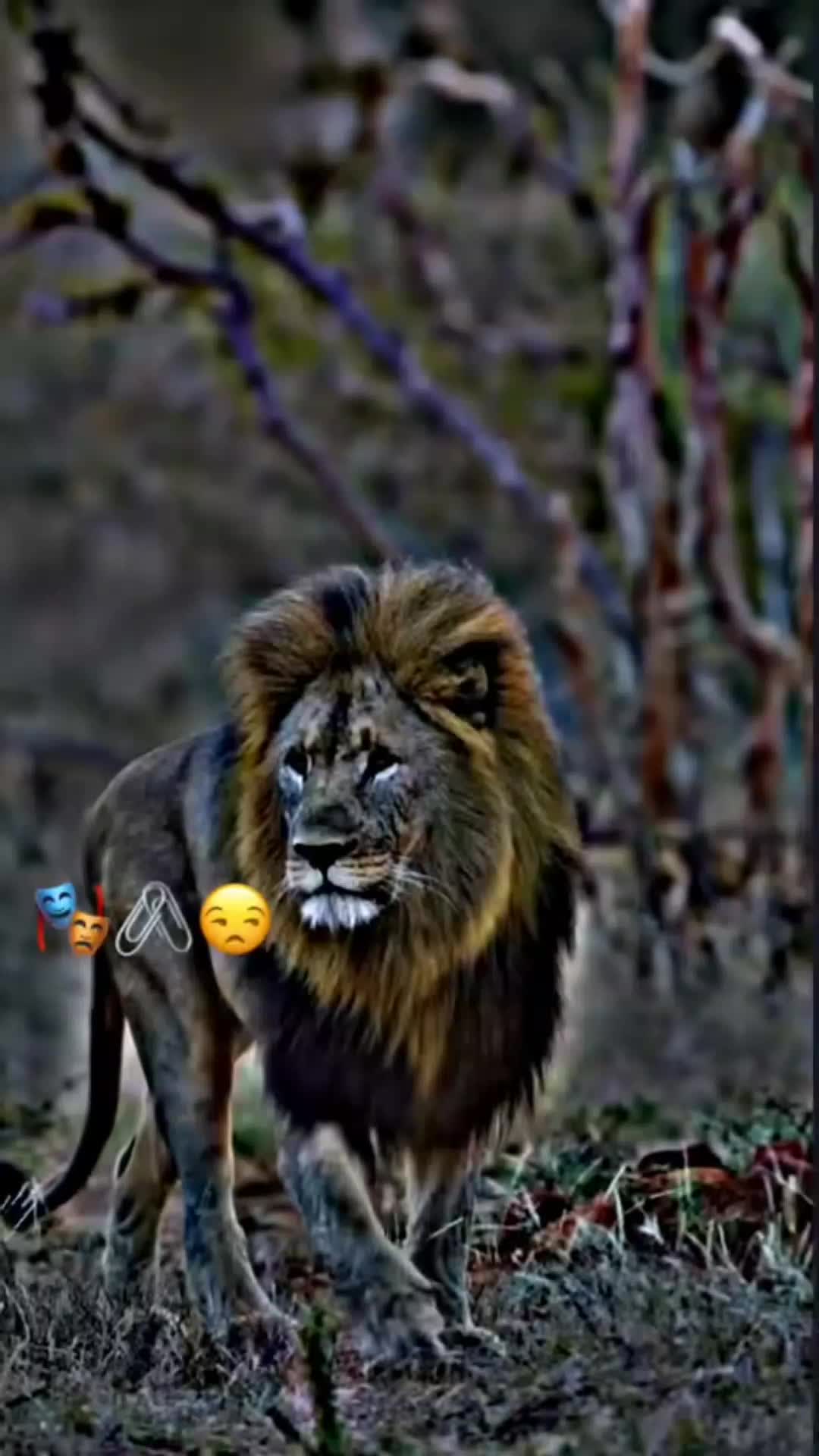 @Babu bhaiya