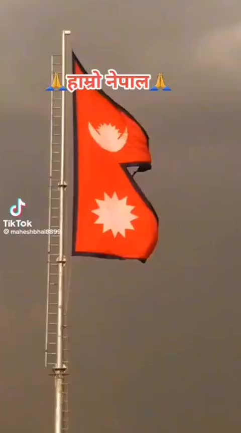 @user1280216179955