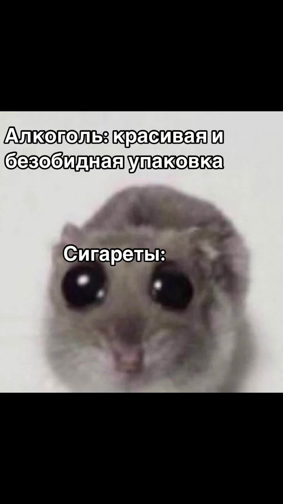 @danyakashin