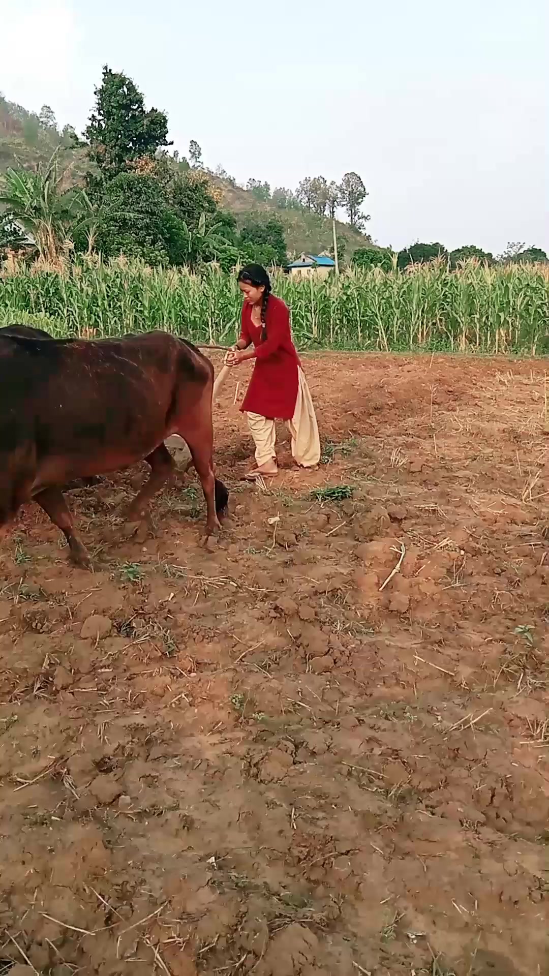 @Rekha_gharti_mgr