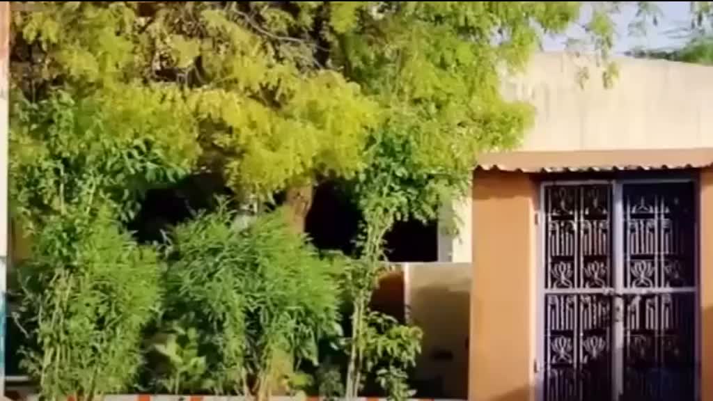 @अंकित कुमार  ऑफिसियल
