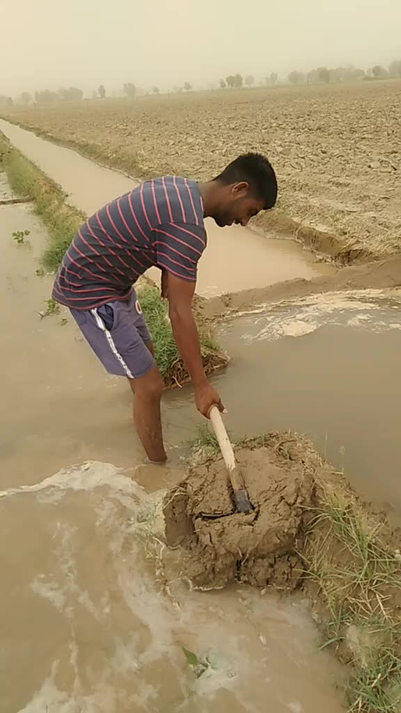 @goradhillon8031