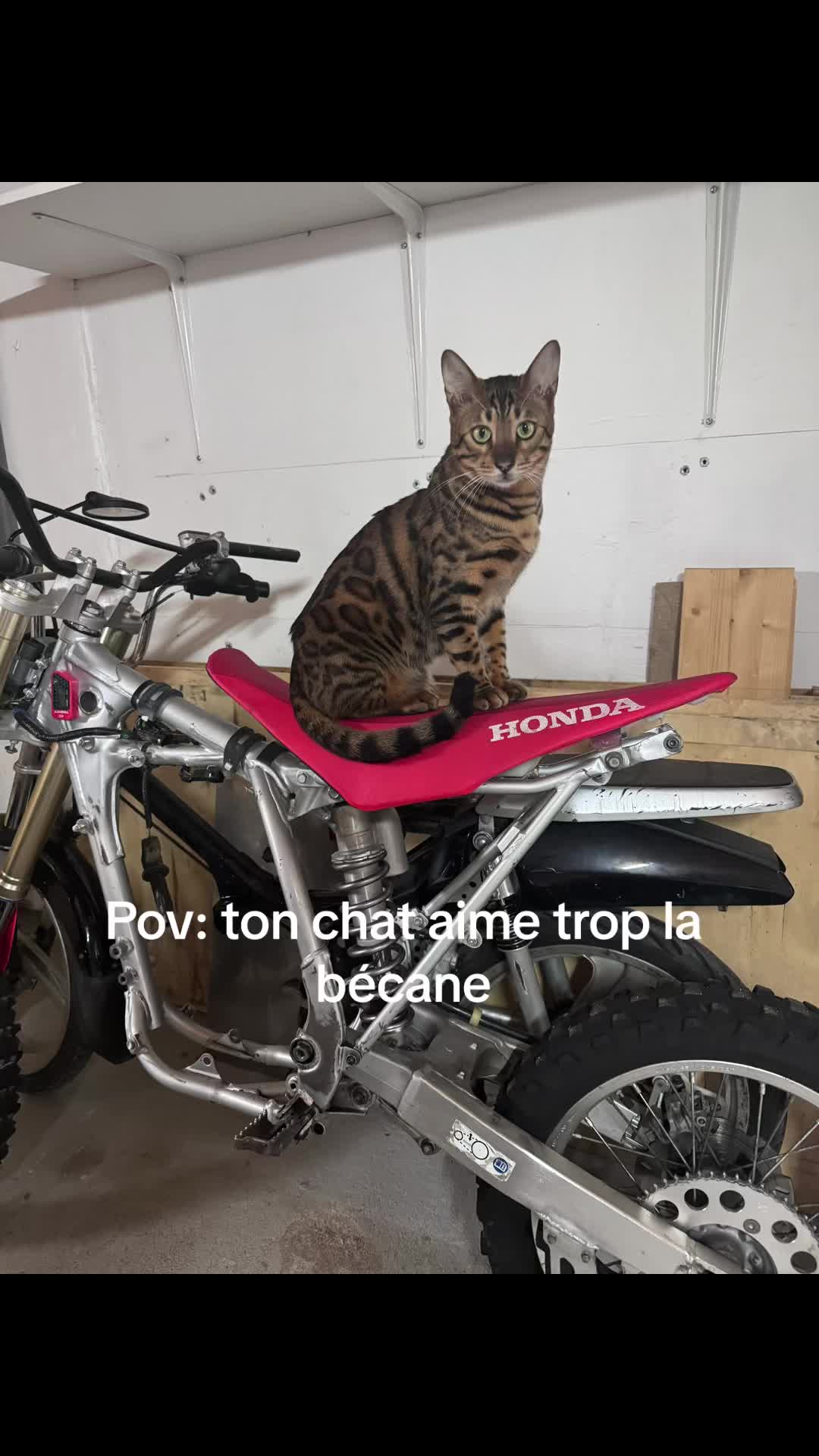 @BazbazLaHonda