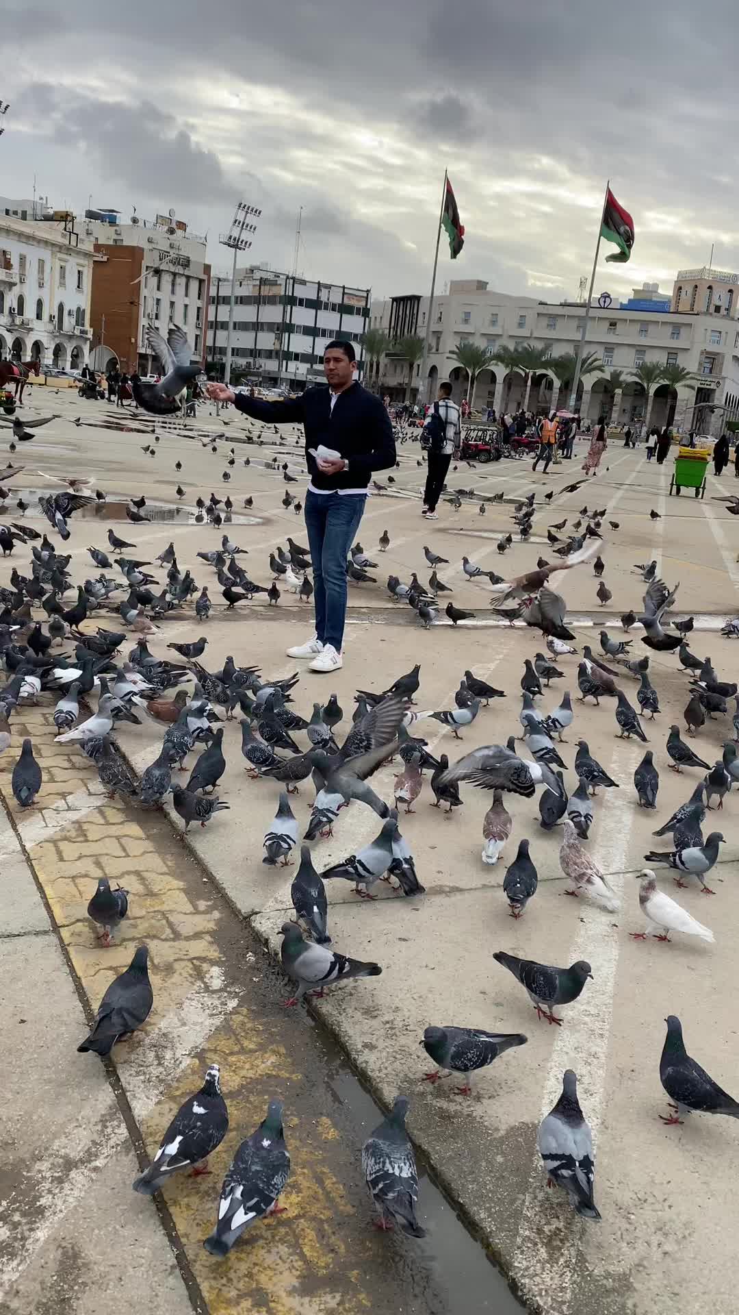 @walidbenhelal