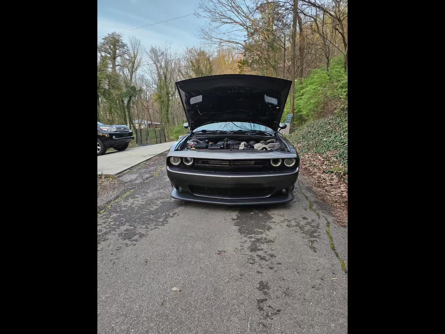 @Trinity_gt350
