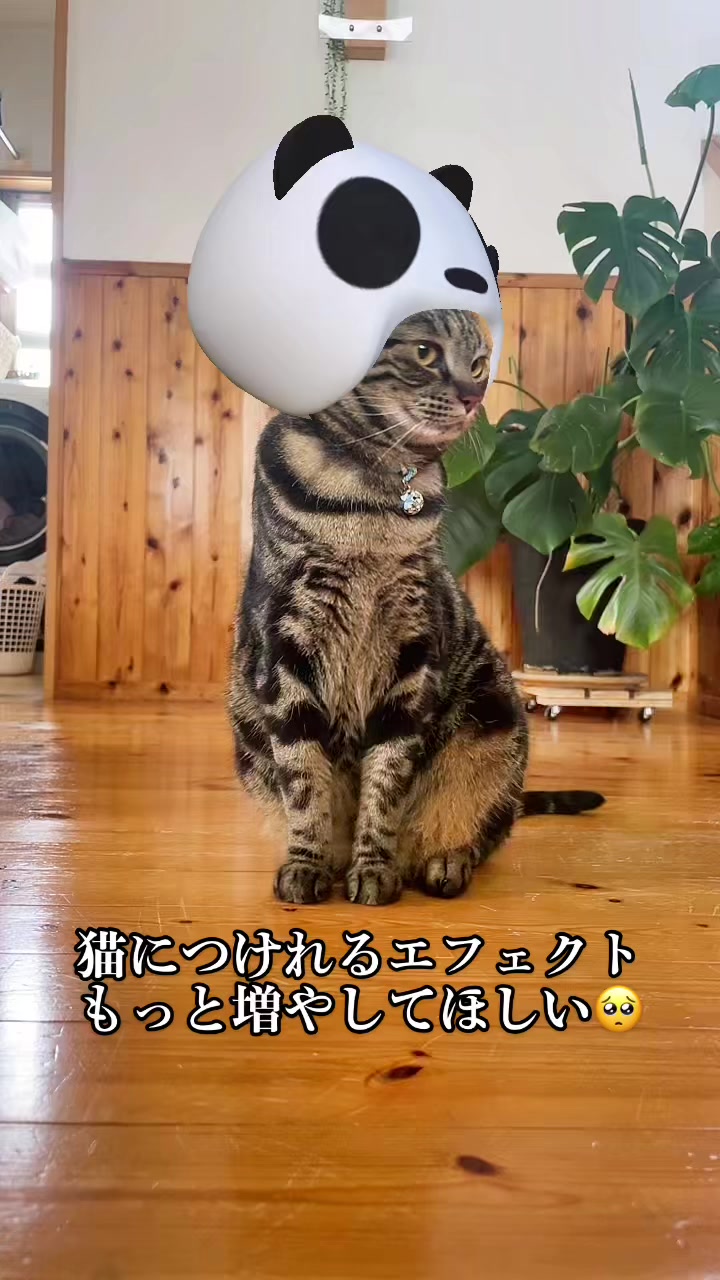 @バギー