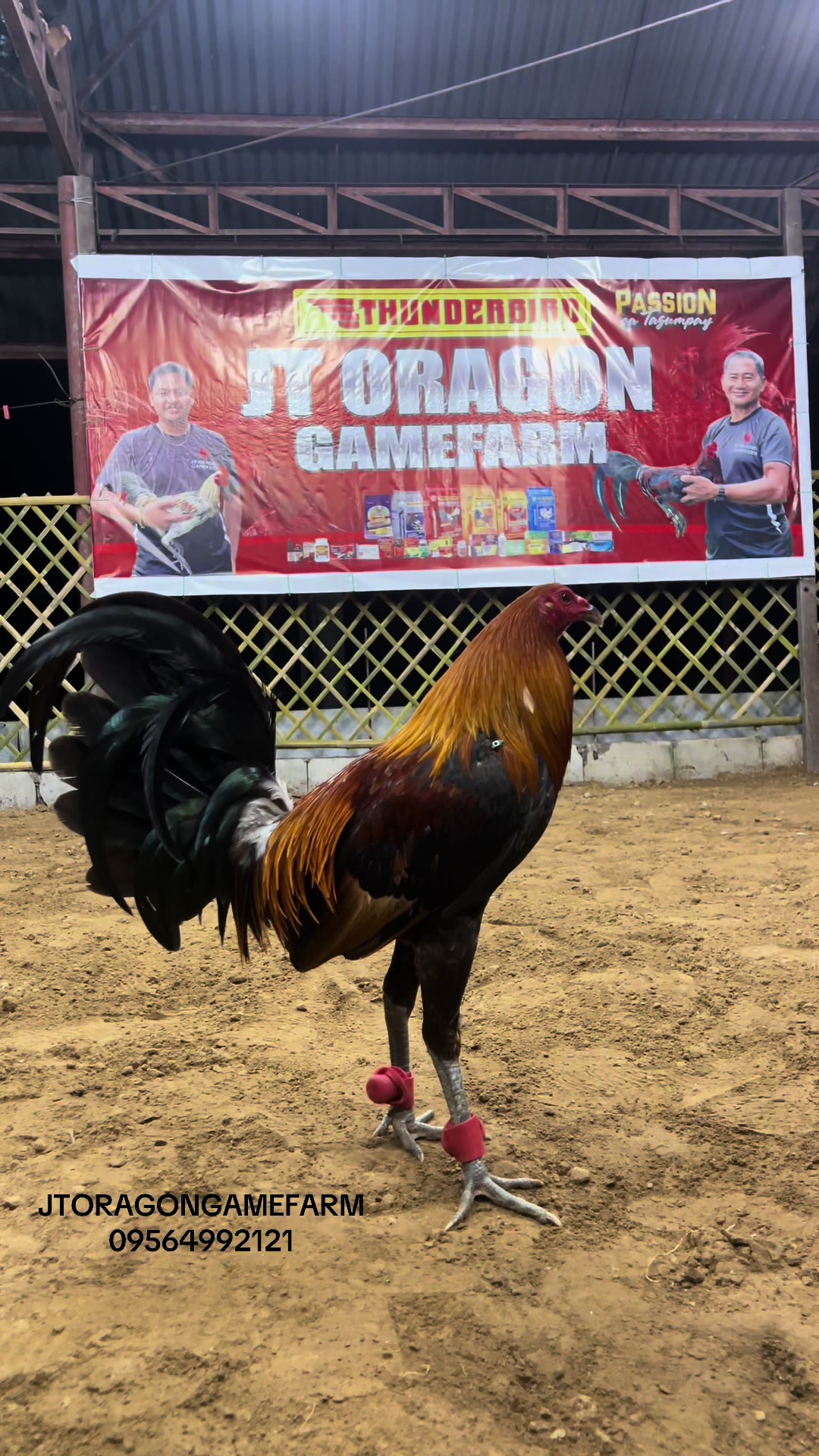 @JT ORAGON GAMEFARM