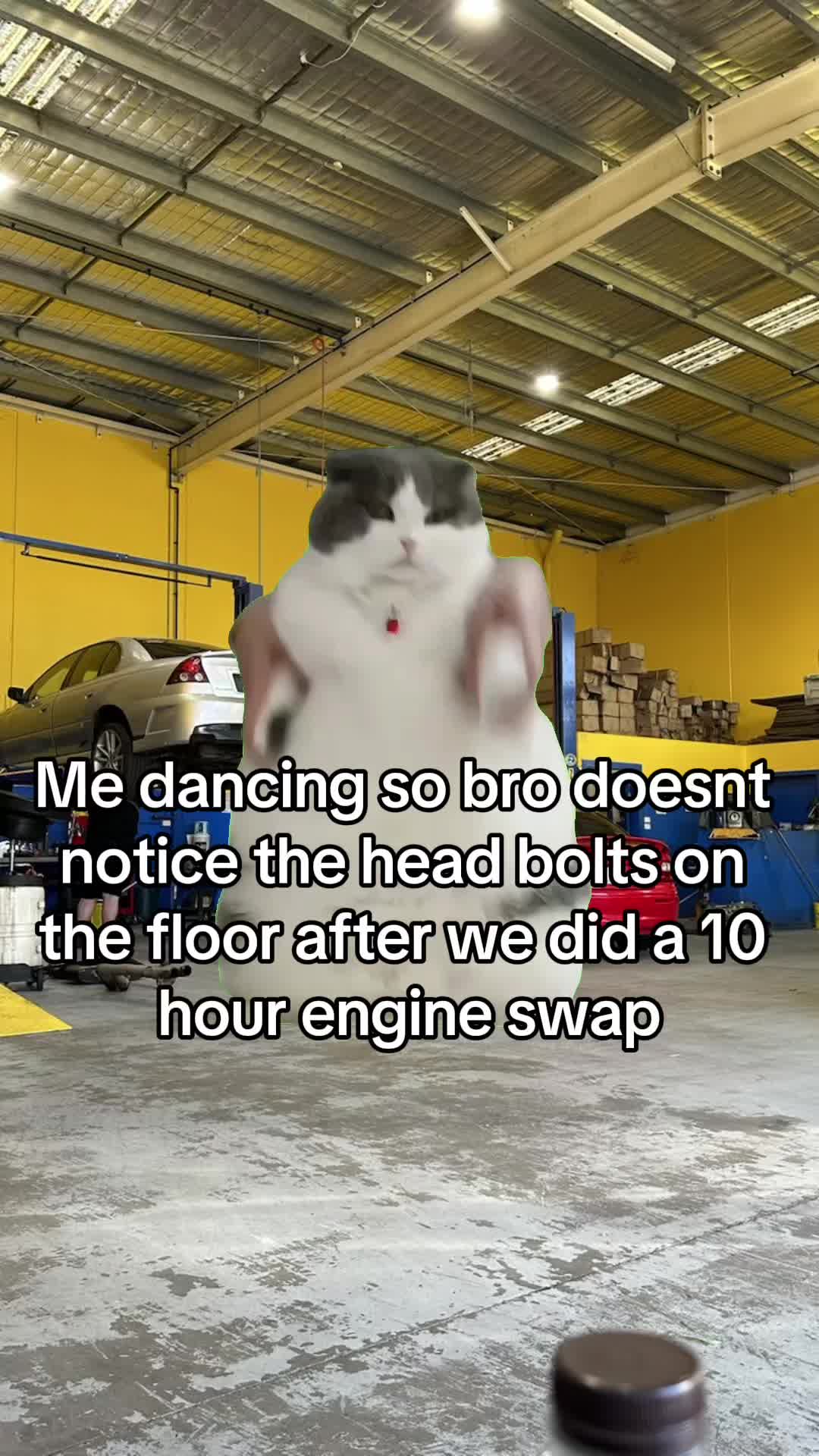 @Ruush