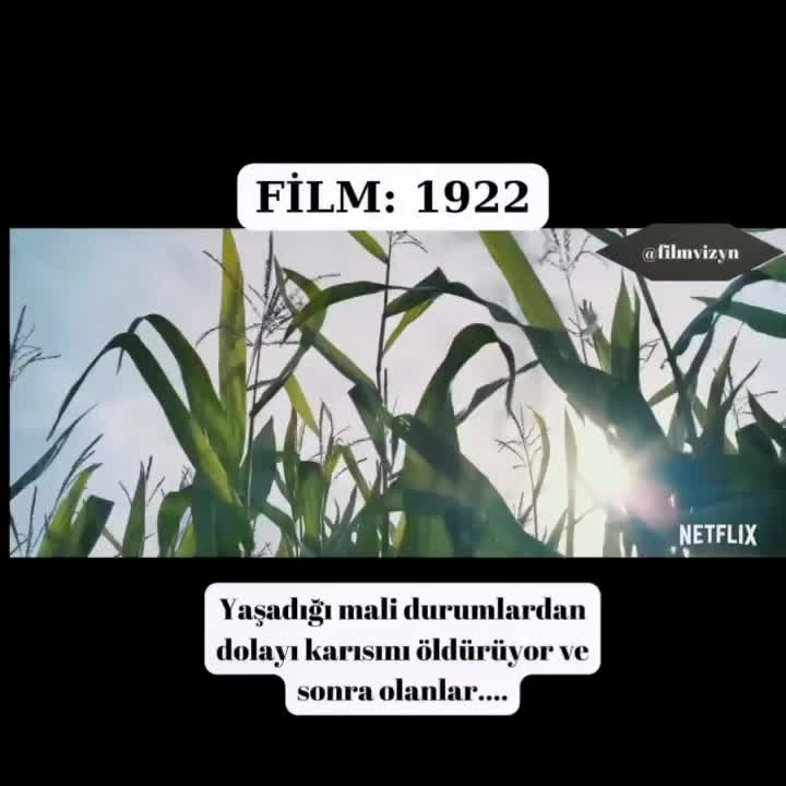@FilmVizyn
