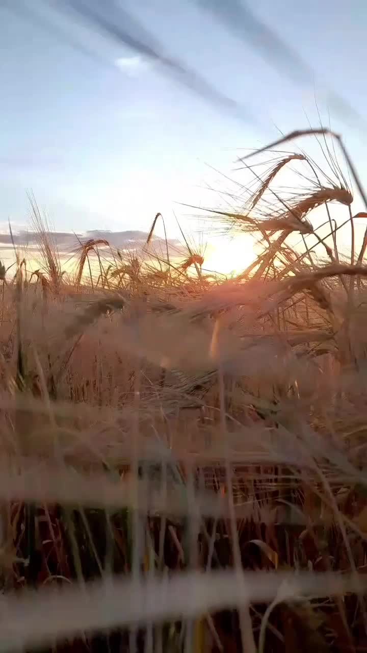 @ВИТАЛИЙ 56рус