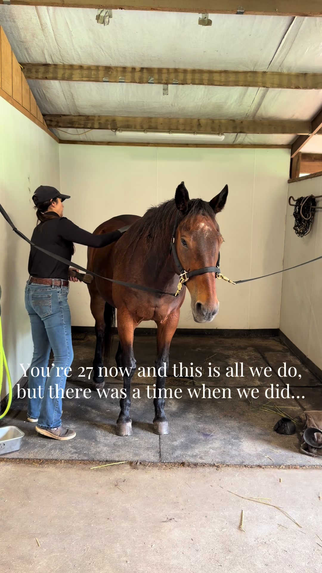 @corderoequine