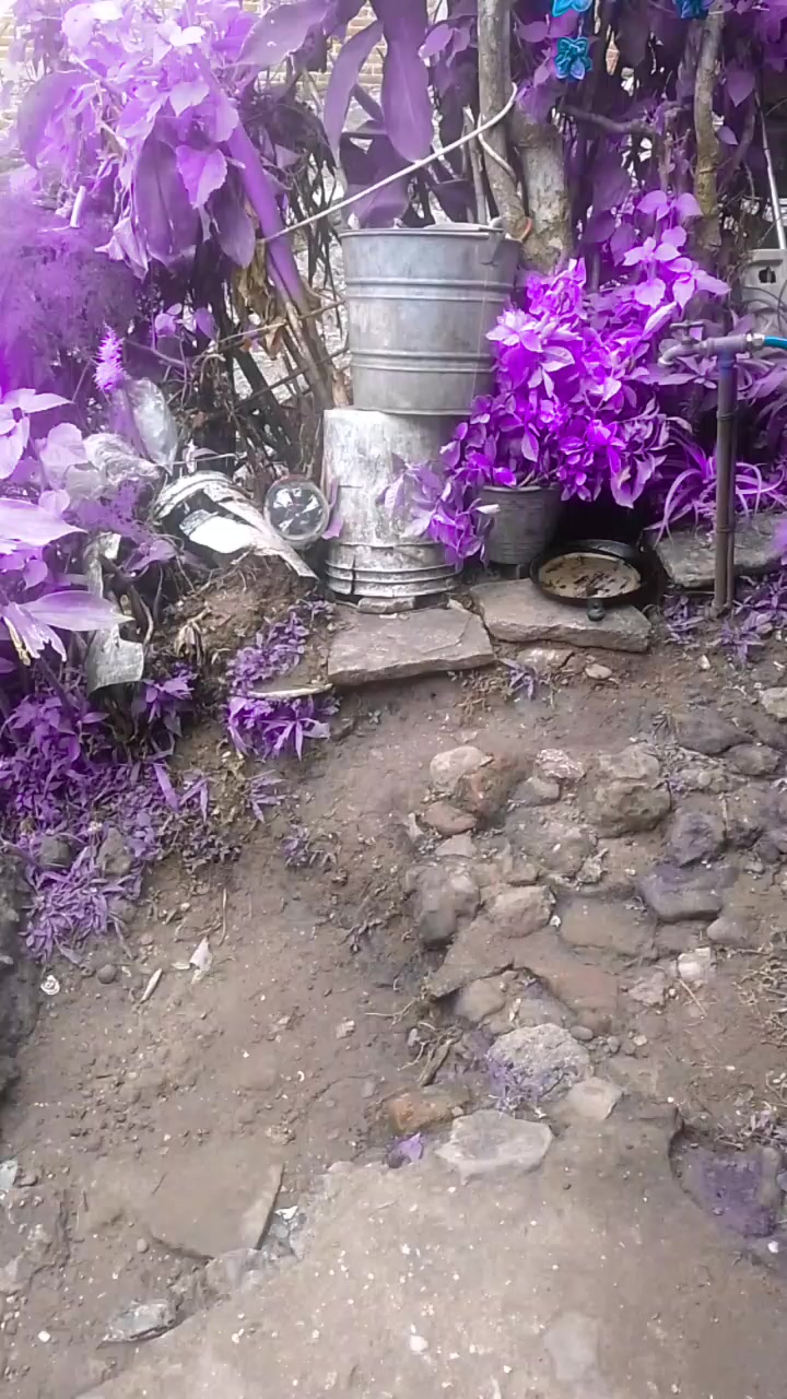 @user32799596009