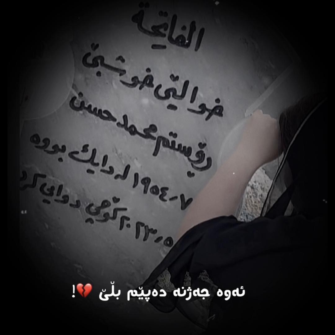 @🤍﮼بەرخە ﮼سپیەکەم
