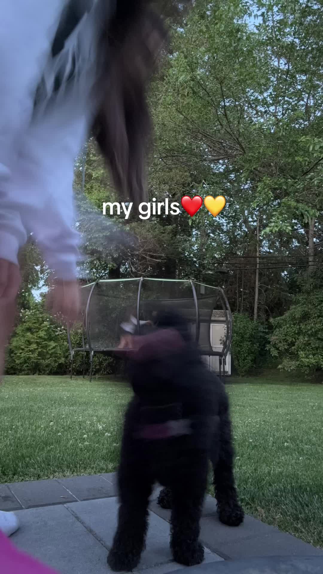 @maya