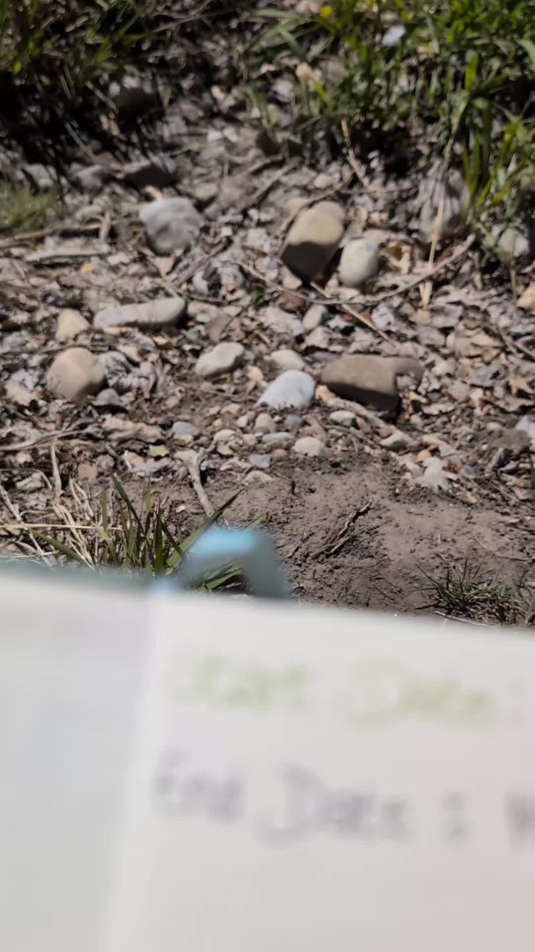 @jrwrites