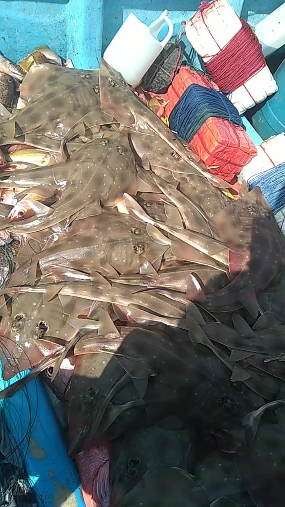 @santhan🐟🐟🦈🦈🐠🐠0766088908