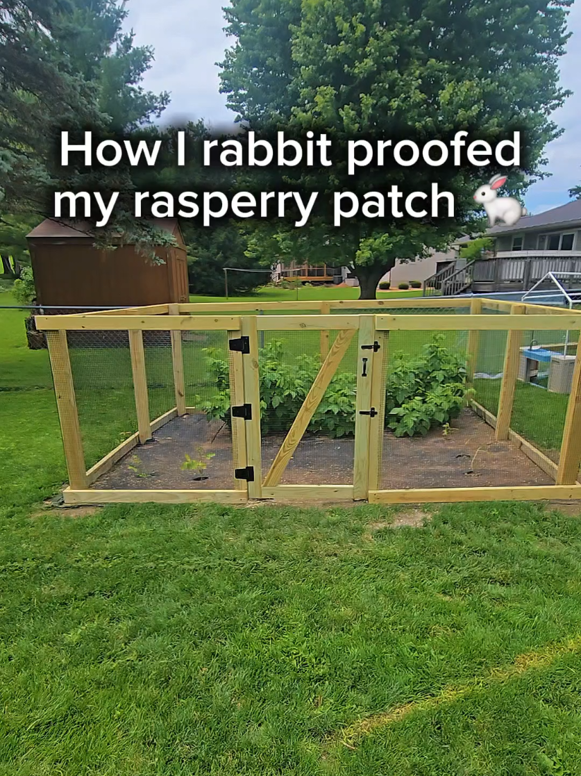 @Backyard Built
