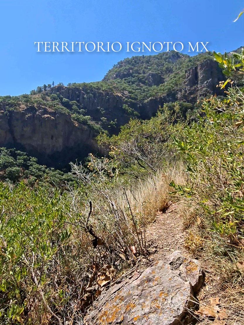 @TERRITORIO IGNOTO MX 🇲🇽