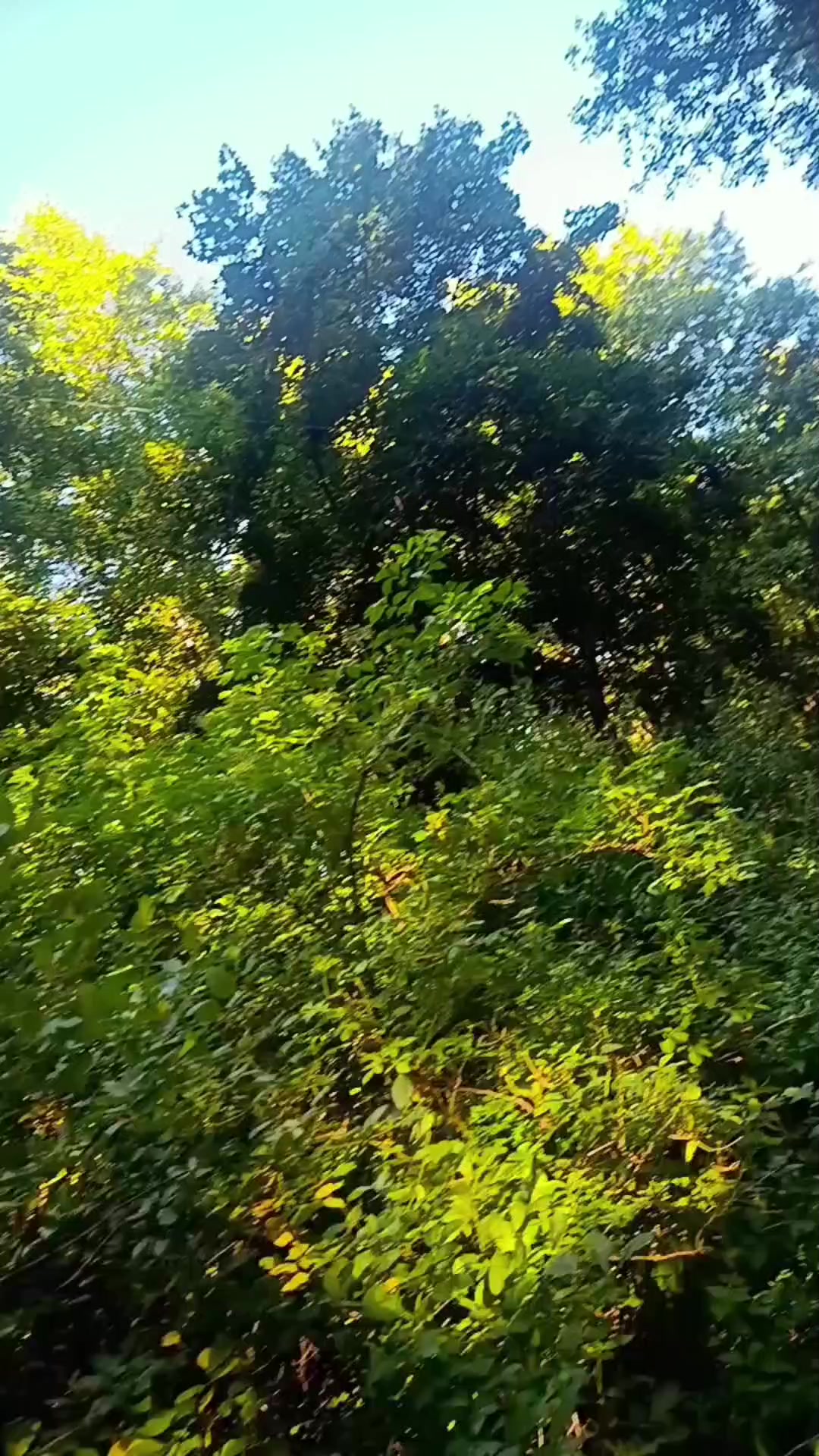 @✨💫ОлЯ✨💥