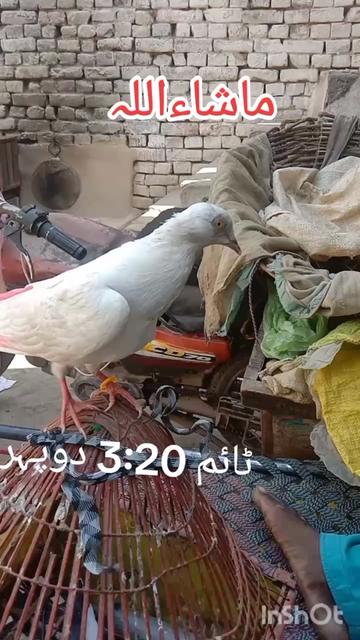 @SAJID JAAN 656