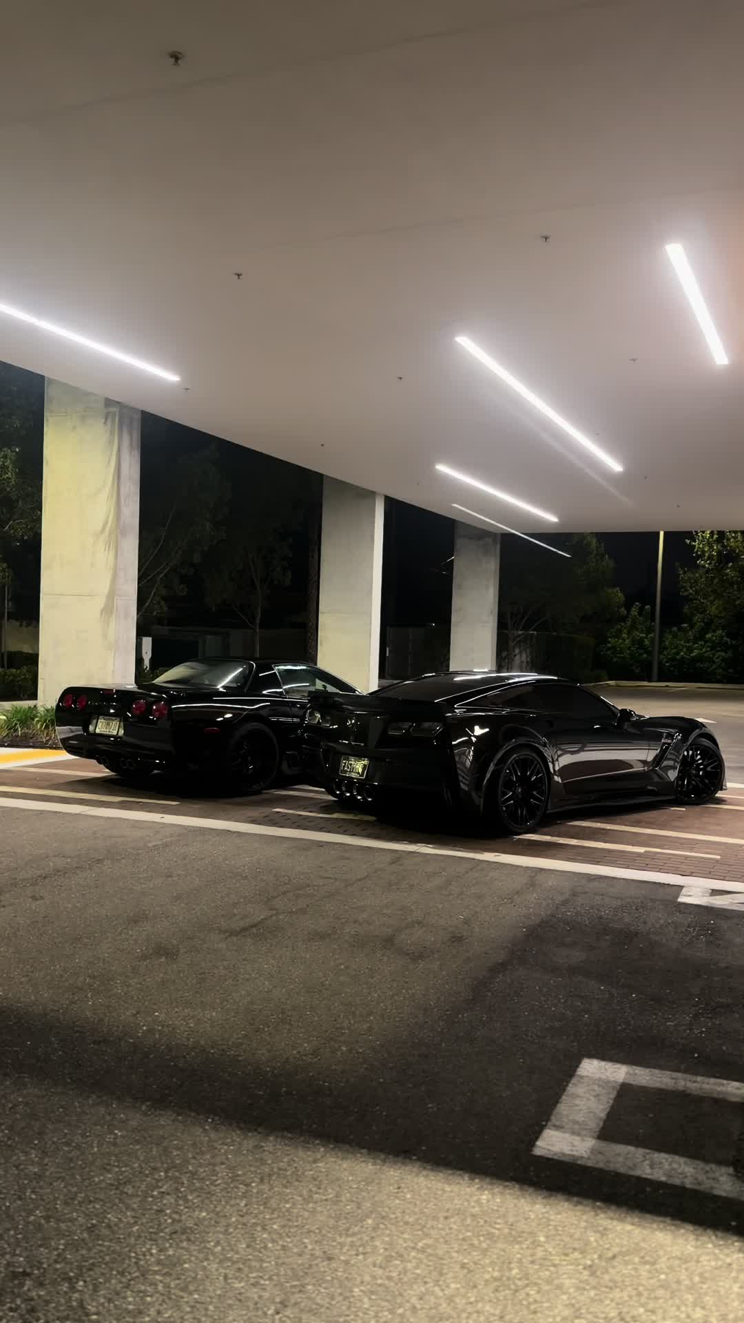 @collier🦇