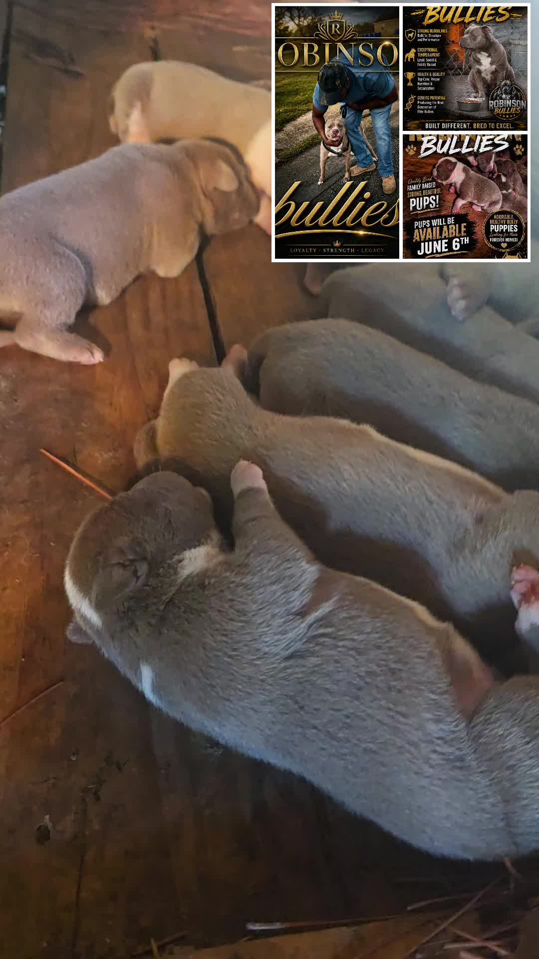@LTate334