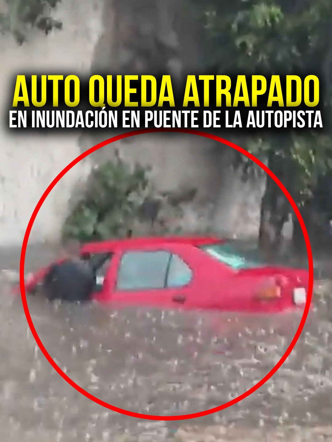 @El Sol de Puebla