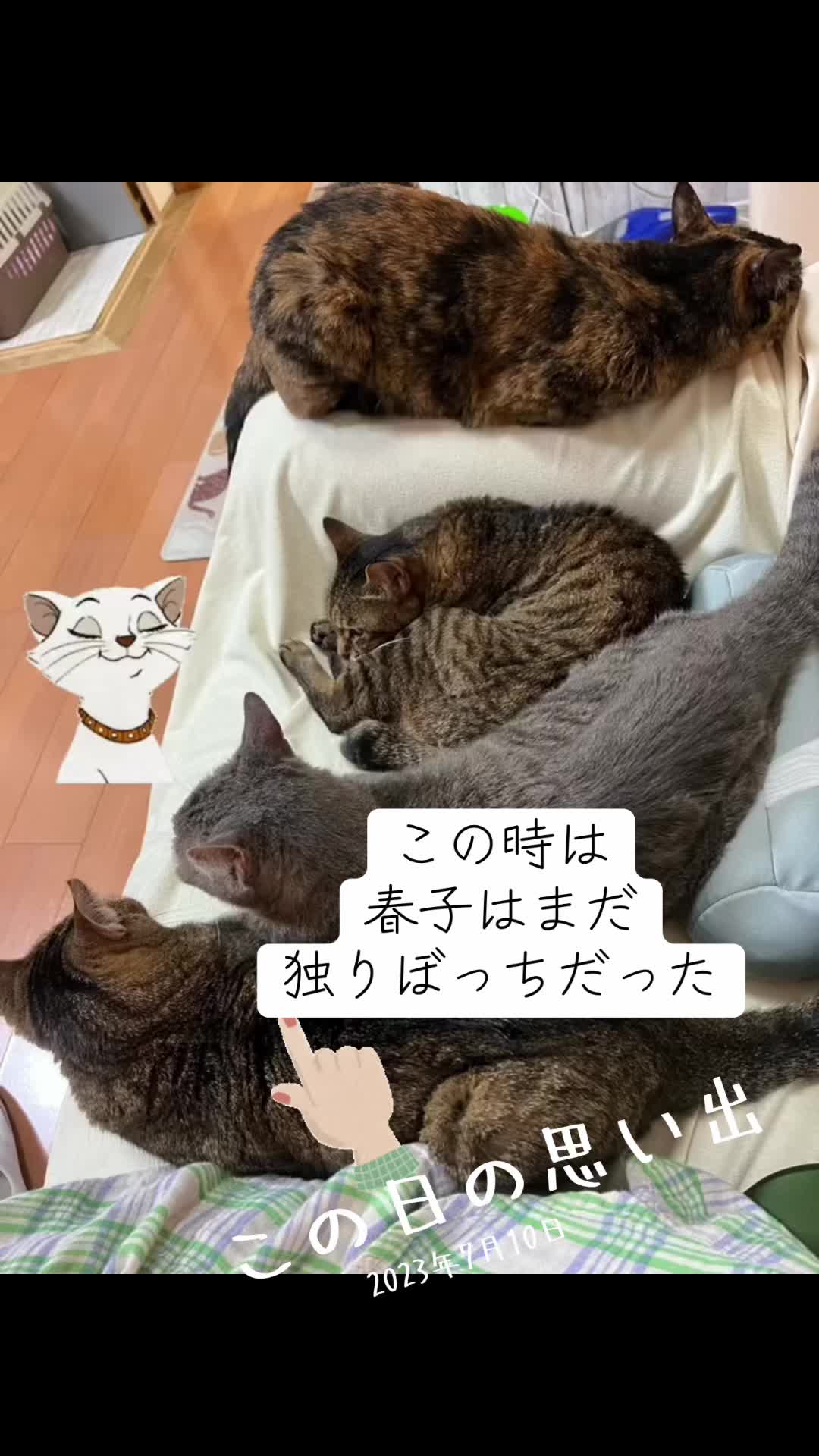 @稲葉さん