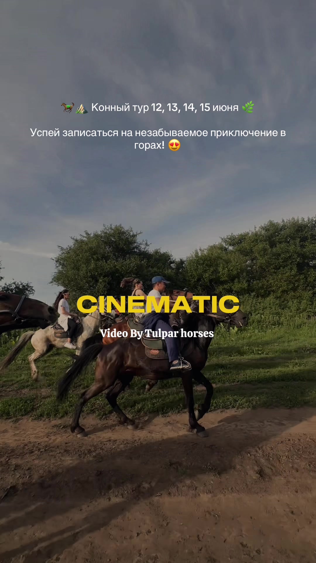 @tulpar_horses