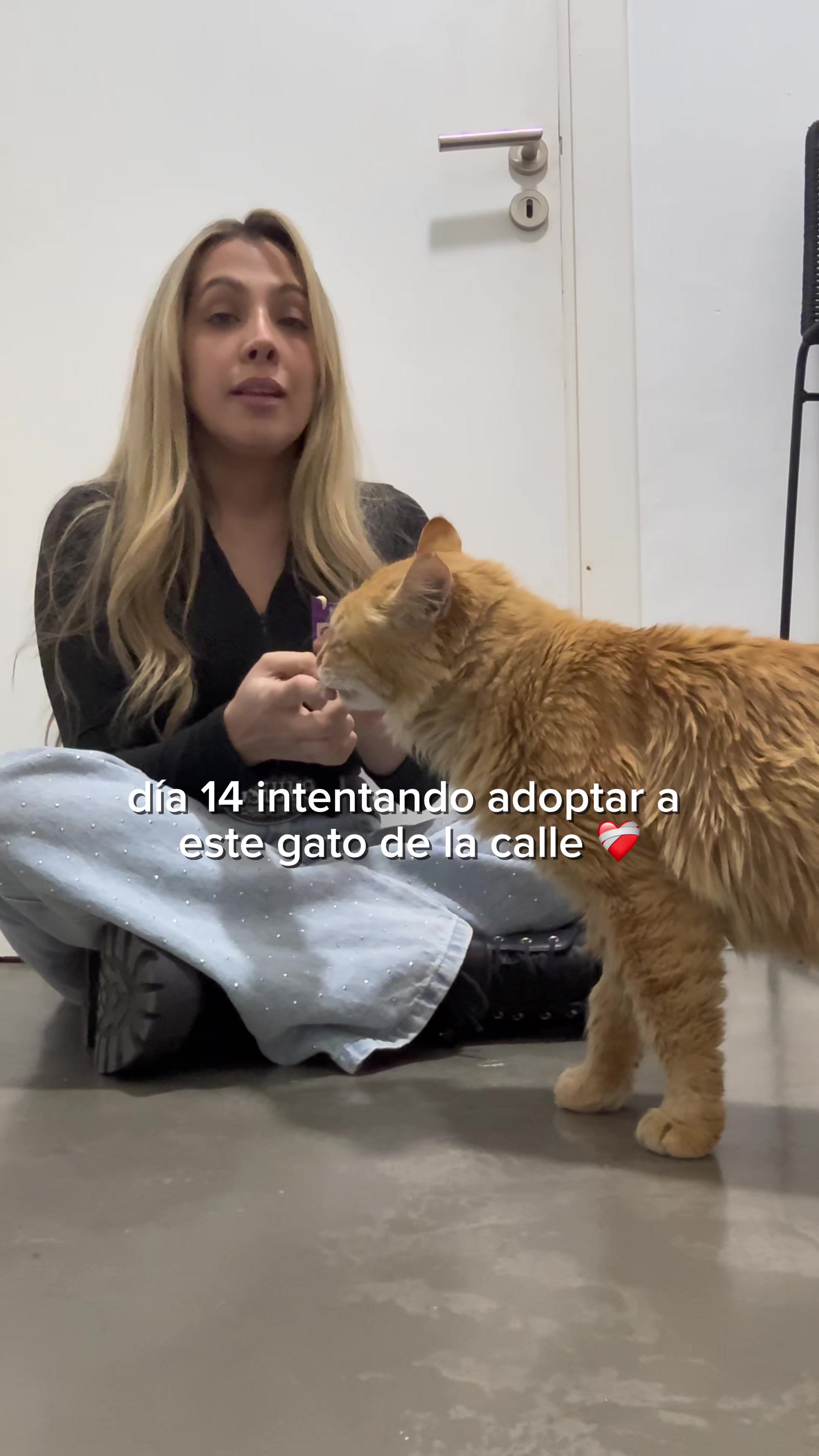 @Lucia Serenaa