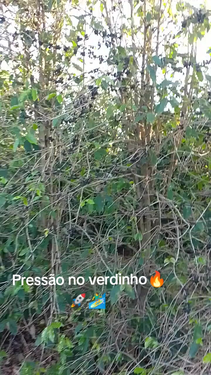 @Reginaldo do 5080en