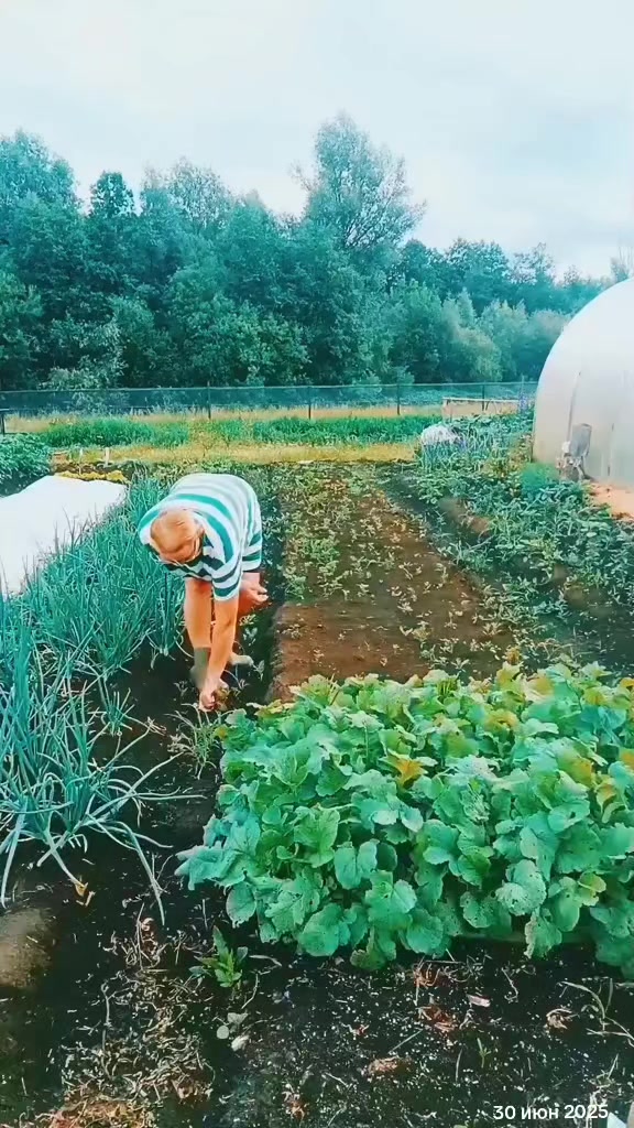@Алёнушка