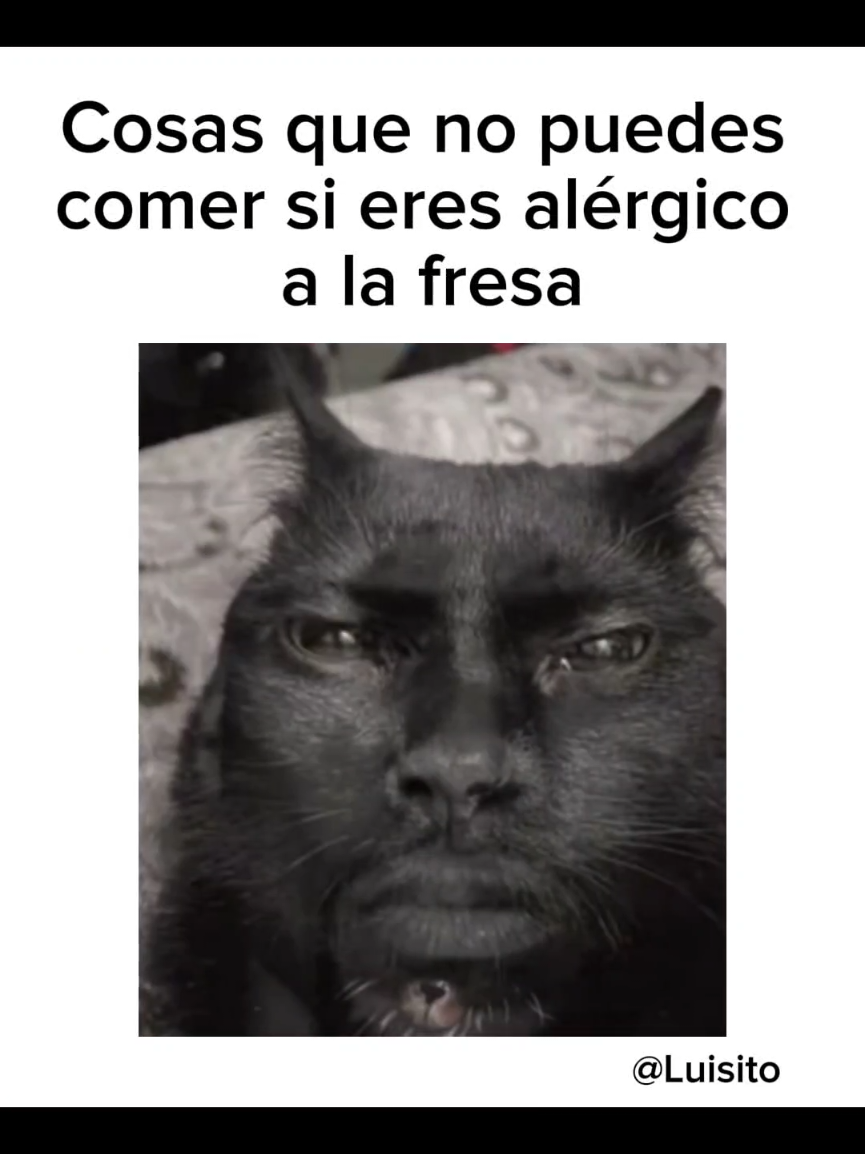 @Luisito