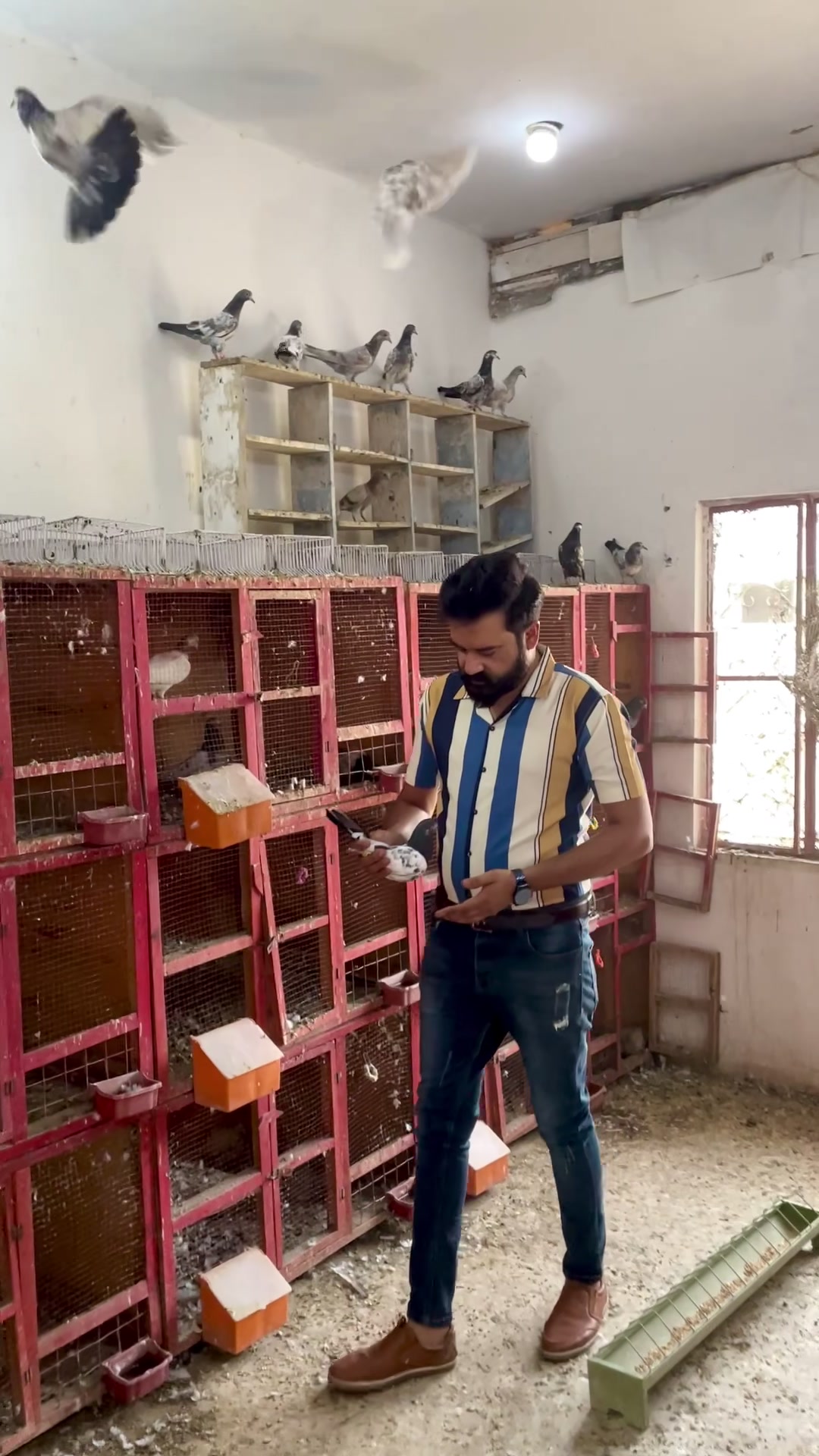 @سید عدنان شیراز