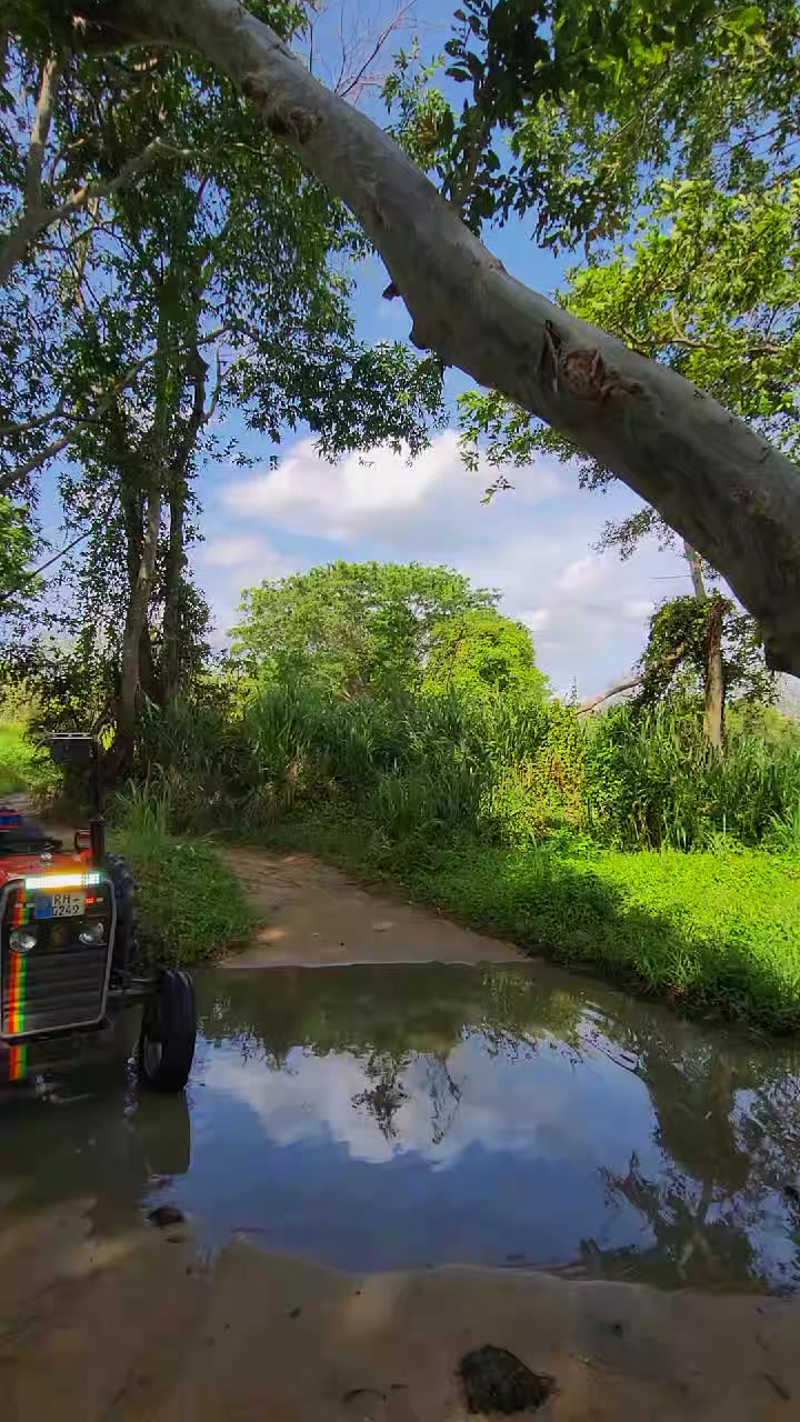 @👤🍃| 𝘃𝗶𝗵𝗮..|🍃👤