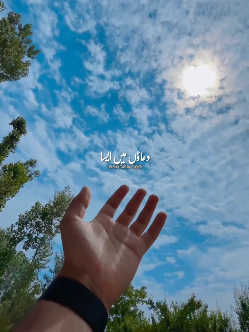 @💘💔زخمی دل💔💘