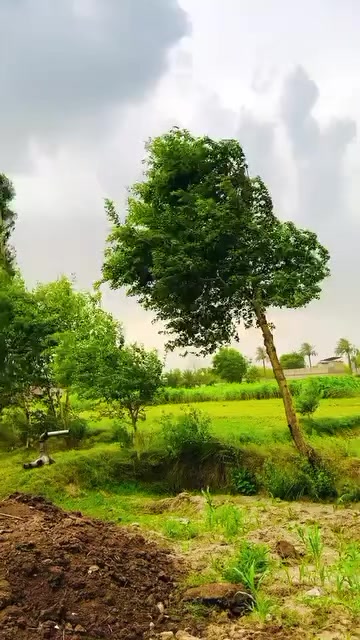 @Irtaza 267