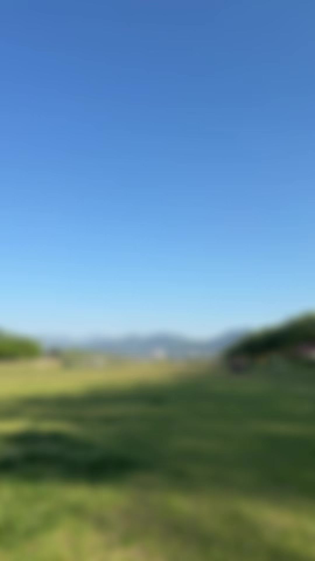 @•