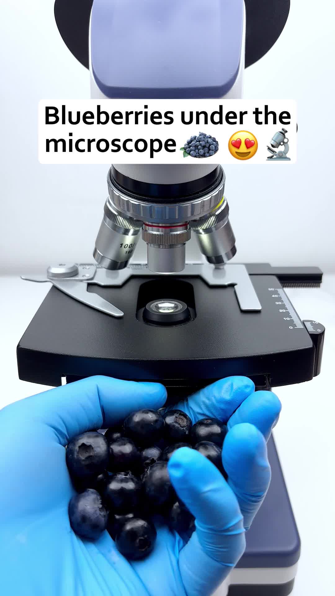 @MicroMagic6