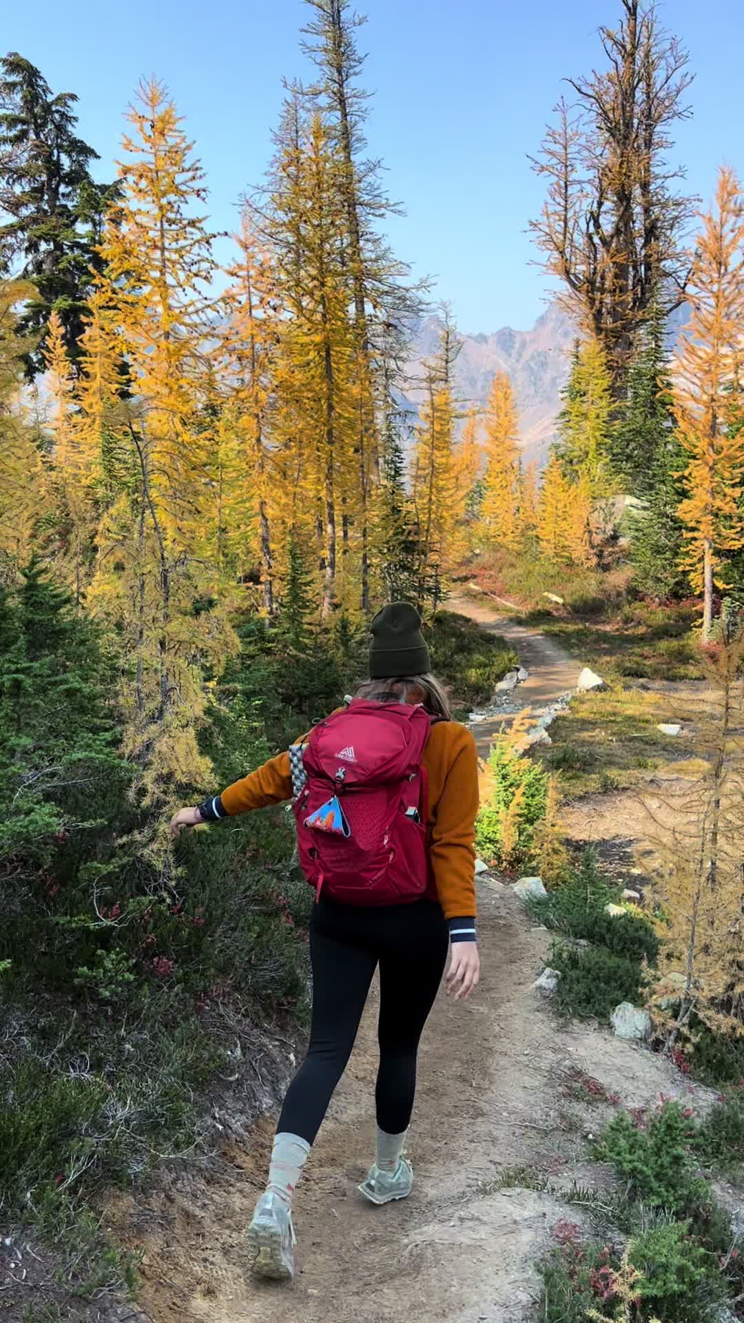 @Elizabeth.adventures
