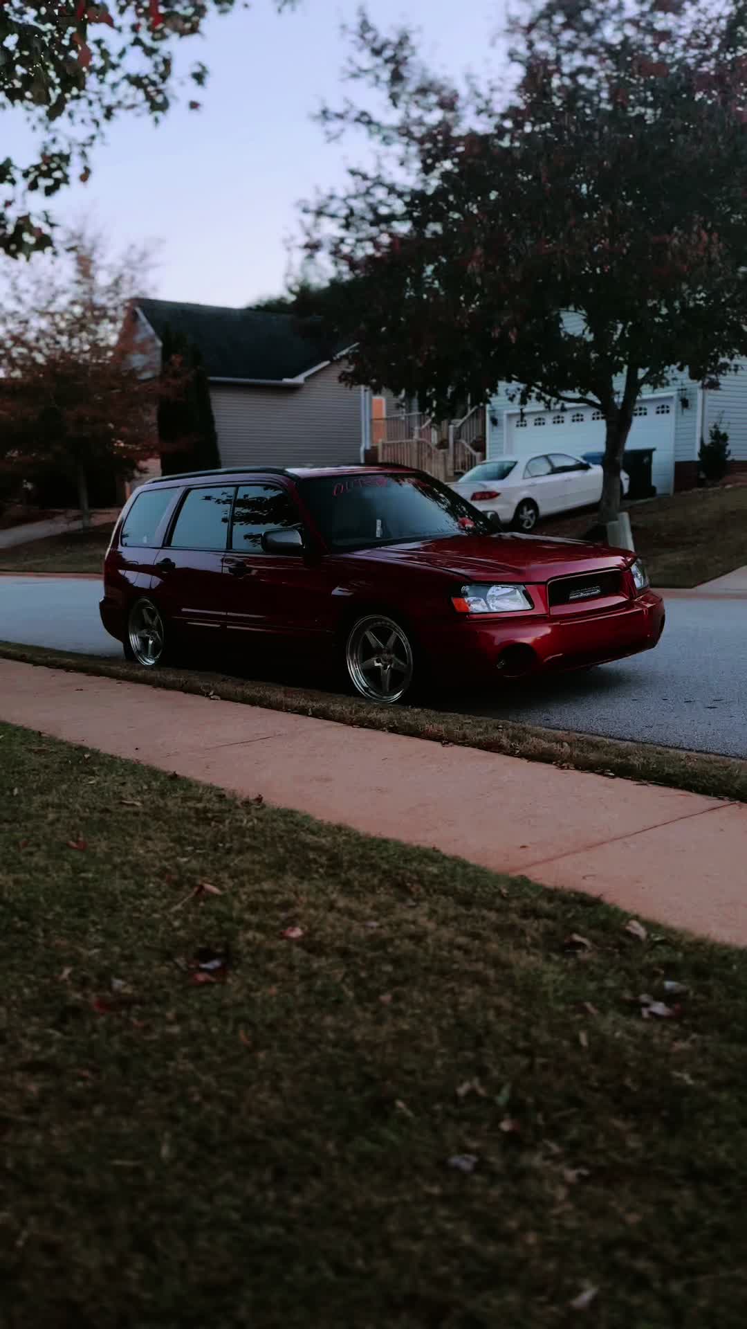@DailyFOZ