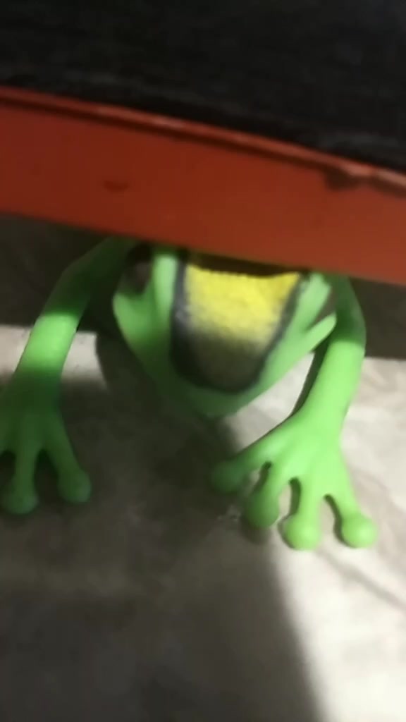 @🐸🐸🐸