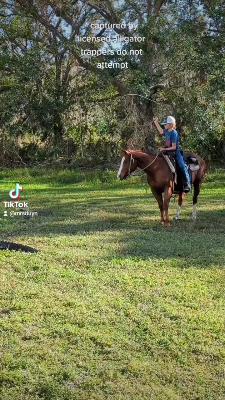 @Duyn Equine Horse Training