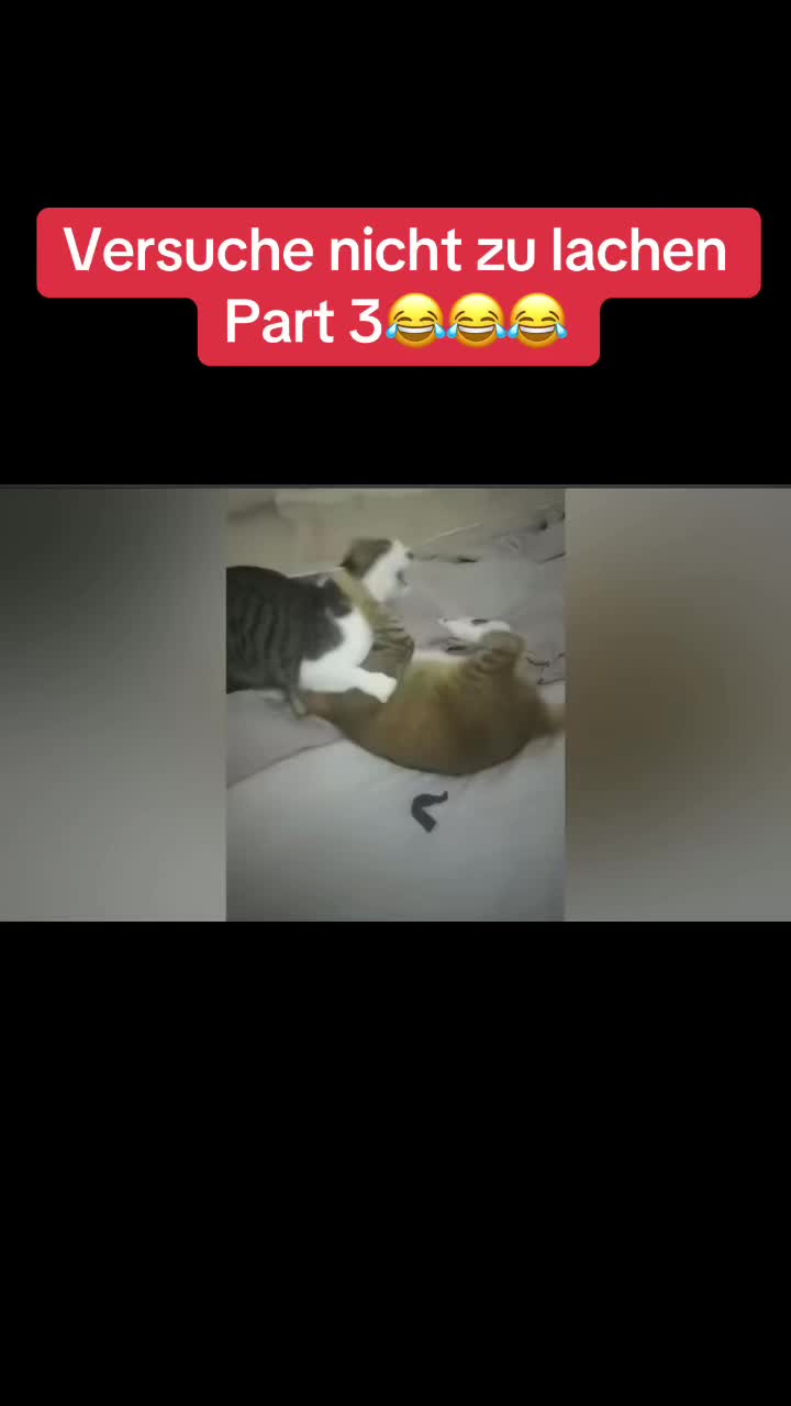 @Memes 😂