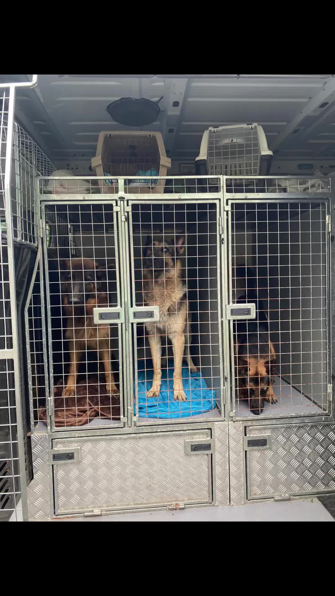 @Greenacres Rescue