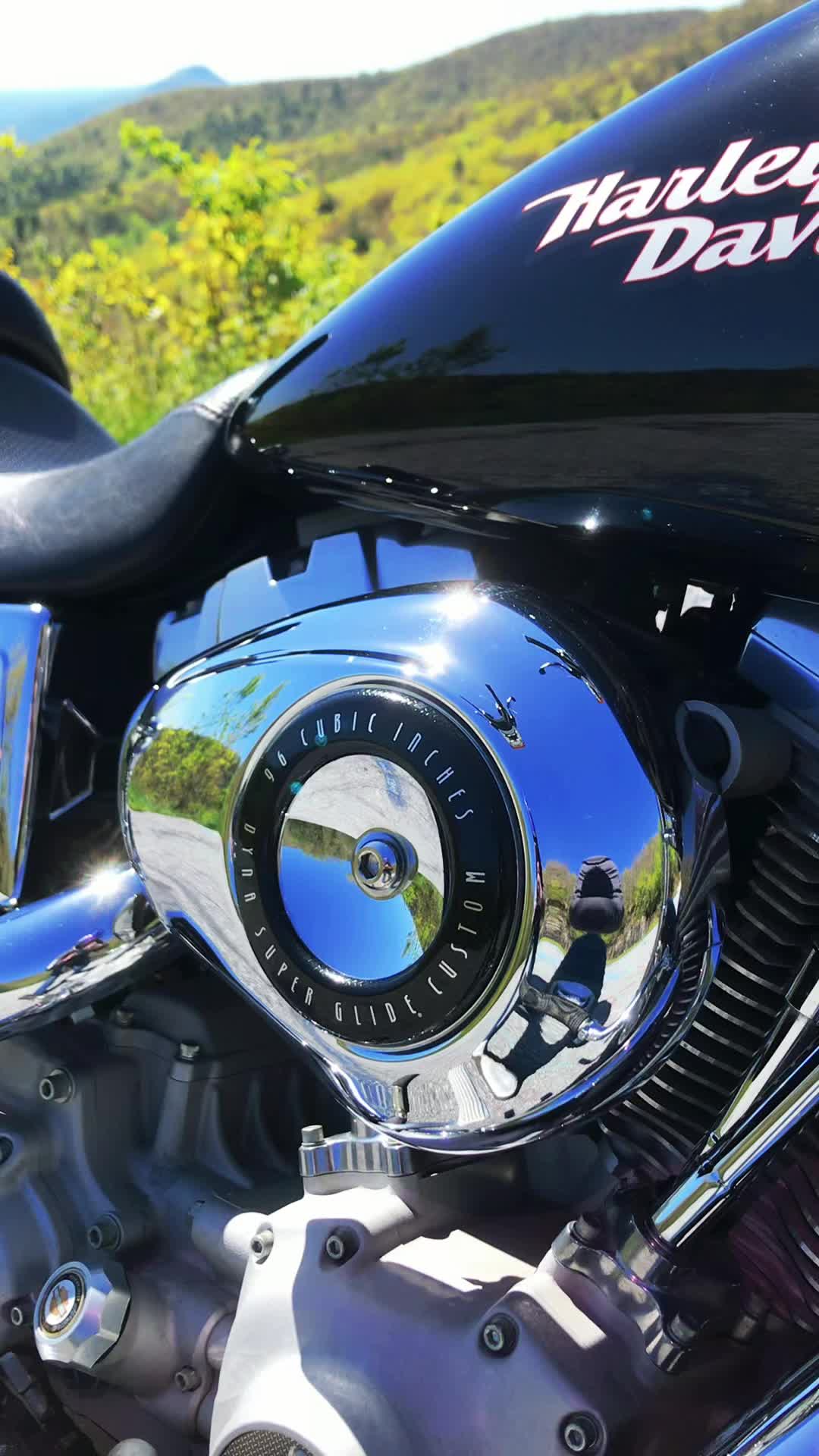@Harley King