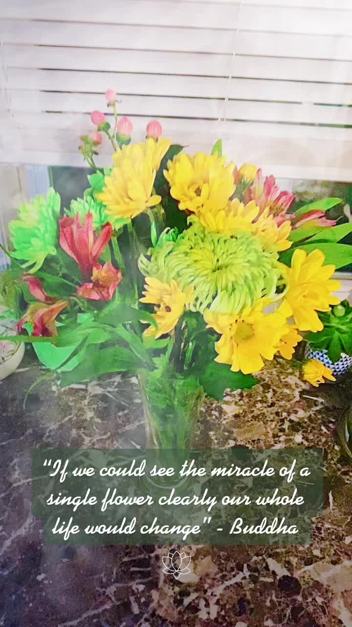 @💗𝓣𝓪𝓻𝔂𝓷💗